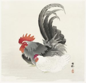 Chicken and cock (1900 - 1936) by Ohara Koson (1877-1945)