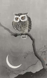 Long-eared owl on bare tree branch (1900 - 1930) by Ohara Koson